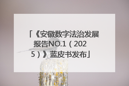 《安徽数字法治发展报告NO.1（2025）》蓝皮书发布