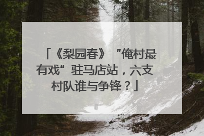 《梨园春》“俺村最有戏”驻马店站，六支村队谁与争锋？
