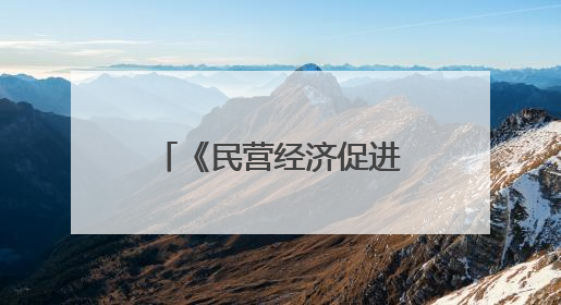 《民营经济促进法》出台后 张江有了新动作