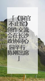 《铜官不止窑》创作交流会在长沙政协同心园举行 陈刚出席