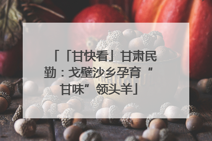 「甘快看」甘肃民勤：戈壁沙乡孕育“甘味”领头羊