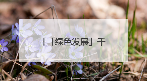 「绿色发展」千亩荷塘 十年新生｜四任航空村官的“生态接力”