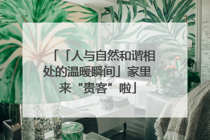 「人与自然和谐相处的温暖瞬间」家里来“贵客”啦