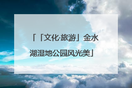 「文化·旅游」金水湖湿地公园风光美