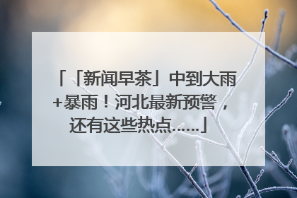 「新闻早茶」中到大雨+暴雨！河北最新预警，还有这些热点……