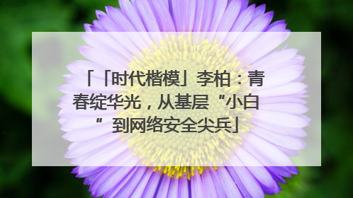 「时代楷模」李柏：青春绽华光，从基层“小白”到网络安全尖兵