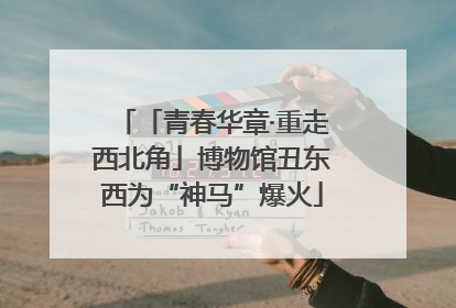 「青春华章·重走西北角」博物馆丑东西为“神马”爆火