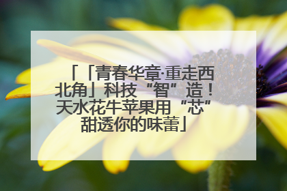 「青春华章·重走西北角」科技“智”造！天水花牛苹果用“芯”甜透你的味蕾