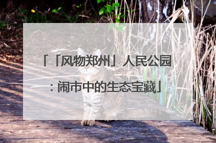 「风物郑州」人民公园：闹市中的生态宝藏