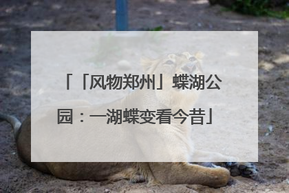 「风物郑州」蝶湖公园：一湖蝶变看今昔