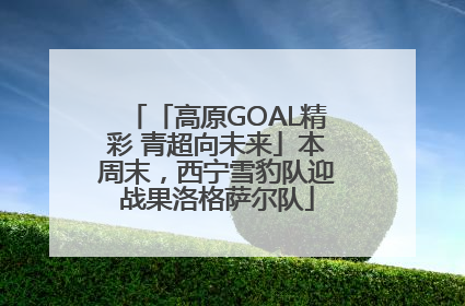 「高原GOAL精彩 青超向未来」本周末，西宁雪豹队迎战果洛格萨尔队