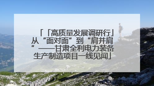 「高质量发展调研行」从“面对面”到“肩并肩”——甘肃全利电力装备生产制造项目一线见闻