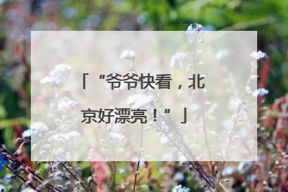 “爷爷快看，北京好漂亮！”