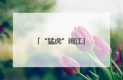 “猛虎”闹江