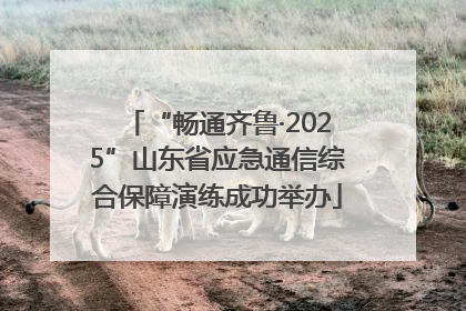“畅通齐鲁·2025”山东省应急通信综合保障演练成功举办