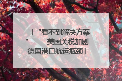 “看不到解决方案”——美国关税加剧德国港口航运瓶颈