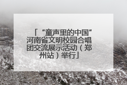 “童声里的中国”河南省文明校园合唱团交流展示活动（郑州站）举行
