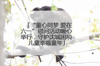 “童心同梦 爱在六一”慰问活动暖心举行，守护沈城困境儿童幸福童年