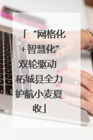 “网格化+智慧化”双轮驱动 柘城县全力护航小麦夏收