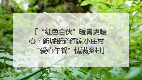 “红色合伙”暖胃更暖心：新城街道阎家小庄村“爱心午餐”情满乡村