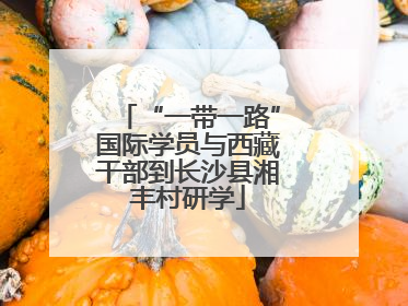 “一带一路”国际学员与西藏干部到长沙县湘丰村研学