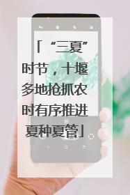 “三夏”时节，十堰多地抢抓农时有序推进夏种夏管