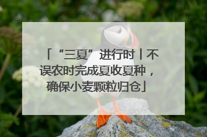 “三夏”进行时丨不误农时完成夏收夏种，确保小麦颗粒归仓