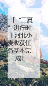 “三夏”进行时丨河北小麦收获任务基本完成