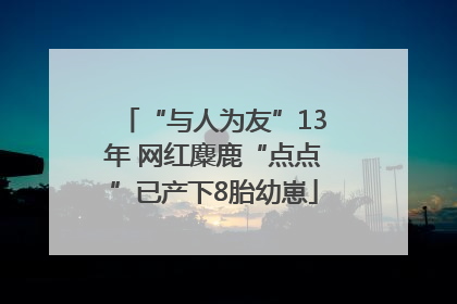 “与人为友”13年 网红麋鹿“点点”已产下8胎幼崽