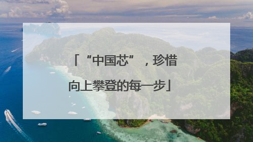 “中国芯”，珍惜向上攀登的每一步