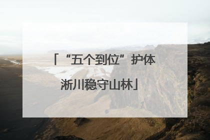 “五个到位”护体 淅川稳守山林