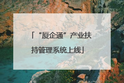 “厦企通”产业扶持管理系统上线