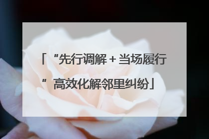 “先行调解＋当场履行”高效化解邻里纠纷