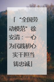 “全国劳动模范”徐安清：一心为民践初心 实干担当铸忠诚