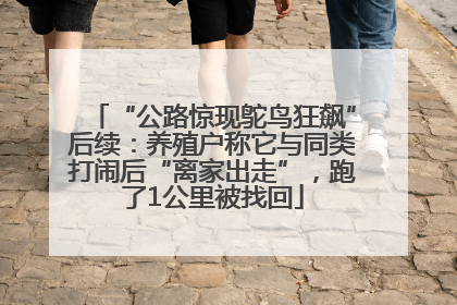 “公路惊现鸵鸟狂飙”后续：养殖户称它与同类打闹后“离家出走”，跑了1公里被找回