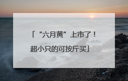 “六月黄”上市了！超小只的可按斤买