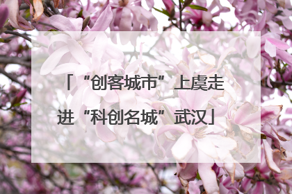 “创客城市”上虞走进“科创名城”武汉