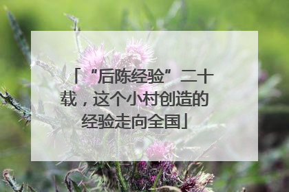 “后陈经验”二十载，这个小村创造的经验走向全国
