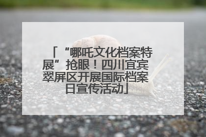 “哪吒文化档案特展”抢眼！四川宜宾翠屏区开展国际档案日宣传活动