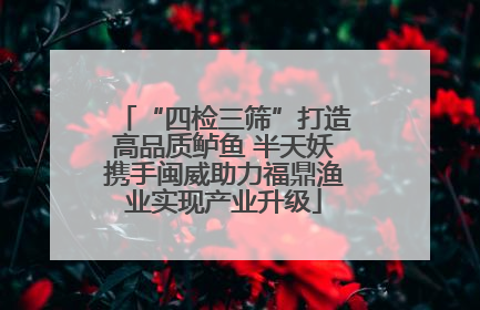 “四检三筛”打造高品质鲈鱼 半天妖携手闽威助力福鼎渔业实现产业升级
