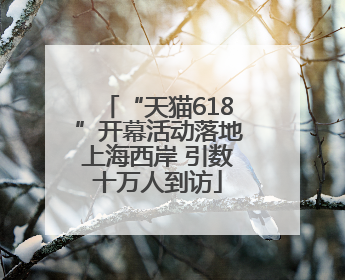 “天猫618”开幕活动落地上海西岸 引数十万人到访