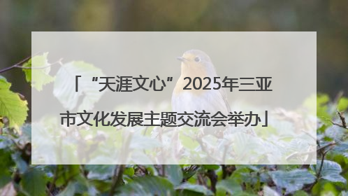 “天涯文心”2025年三亚市文化发展主题交流会举办