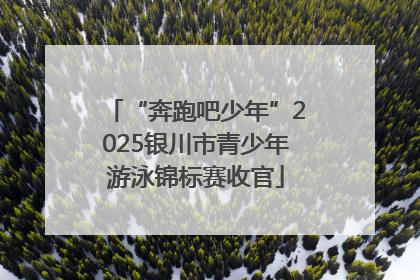 “奔跑吧少年”2025银川市青少年游泳锦标赛收官