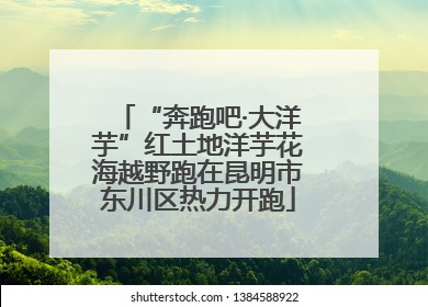 “奔跑吧·大洋芋”红土地洋芋花海越野跑在昆明市东川区热力开跑