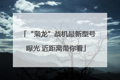 “枭龙”战机最新型号曝光 近距离带你看