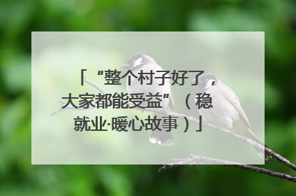 “整个村子好了，大家都能受益”（稳就业·暖心故事）