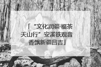 “文化润疆·福茶天山行”安溪铁观音香飘新疆昌吉