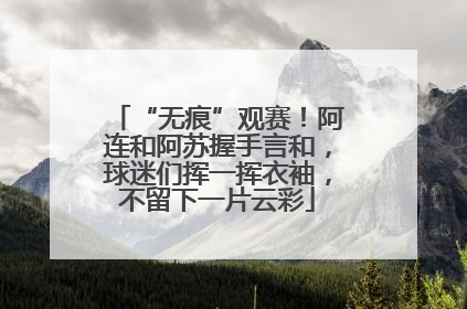 “无痕”观赛！阿连和阿苏握手言和，球迷们挥一挥衣袖，不留下一片云彩