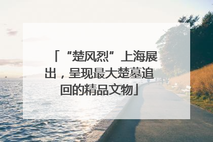 “楚风烈”上海展出，呈现最大楚墓追回的精品文物