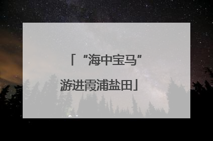 “海中宝马”游进霞浦盐田